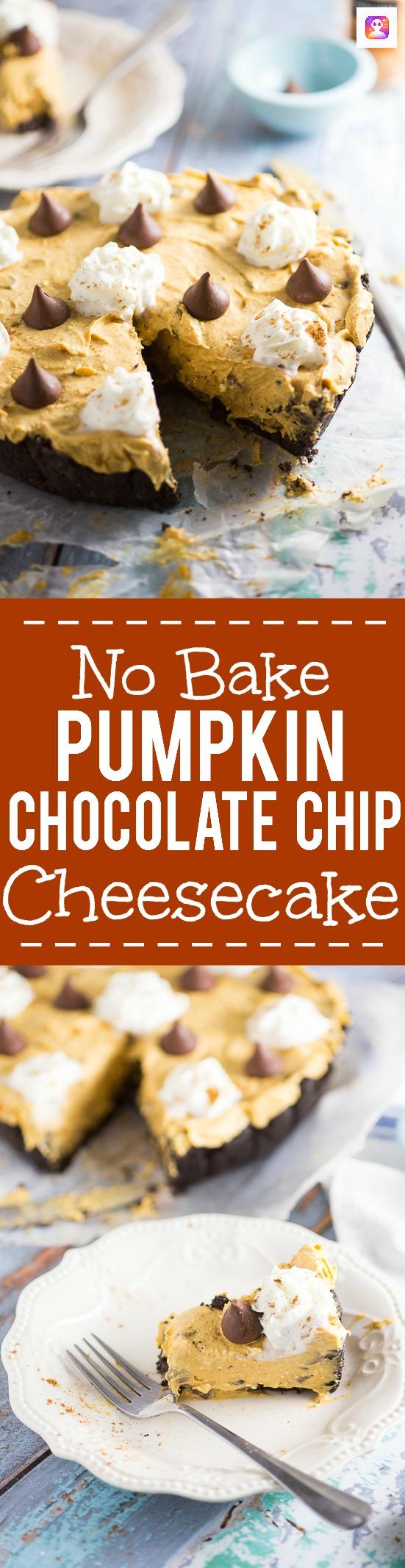 No Bake Pumpkin Chocolate Cheesecake Recipe - Festive, delicious, and easy No Bake Pumpkin Chocolate Cheesecake with a no bake pumpkin spice filling and chocolate chips in a chocolate Oreo crust. Perfect for both pumpkin spice lovers and chocolate lovers! No bake pumpkin spice cheesecake, chocolate chips, and a chocolate oreo crust?! Sounds amazing. Would be an easy Thanksgiving dessert recipe too!